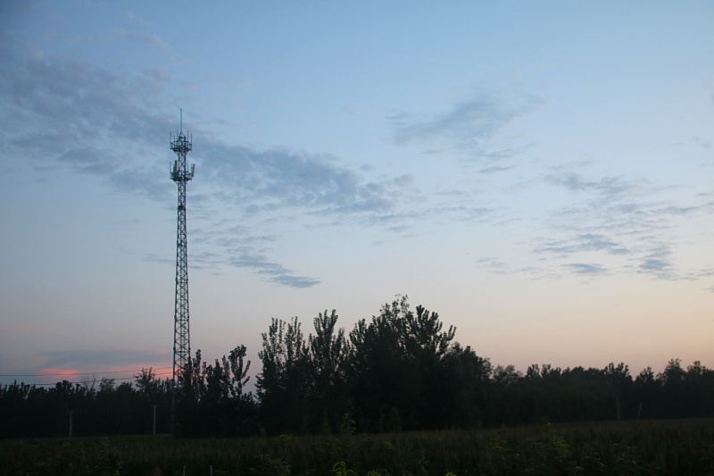 IMG_0800.jpg