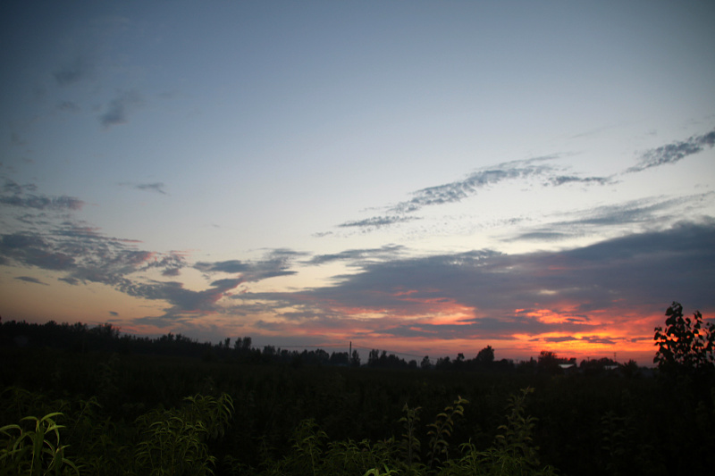 IMG_0801.jpg
