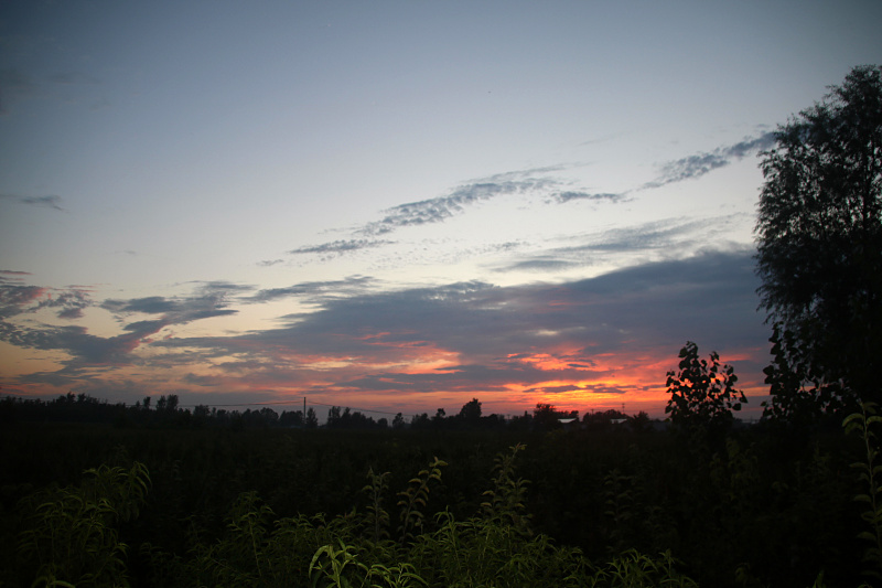 IMG_0805.jpg