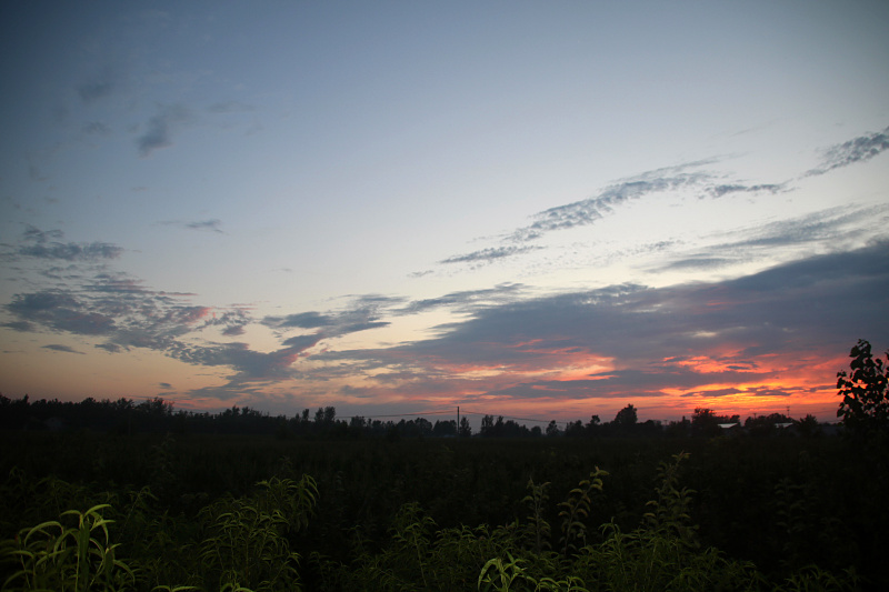 IMG_0807.jpg