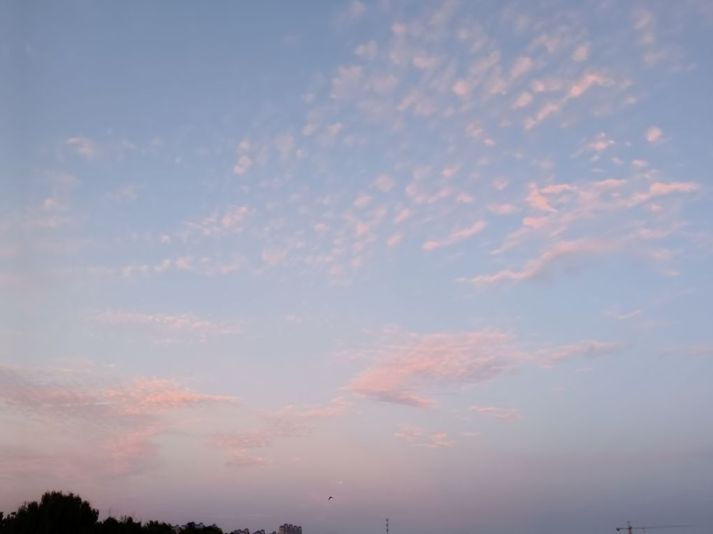 20250820205604front2_0_209712_FjJa1LjSNg-EanHJn7Q_qtuswGdr.jpg