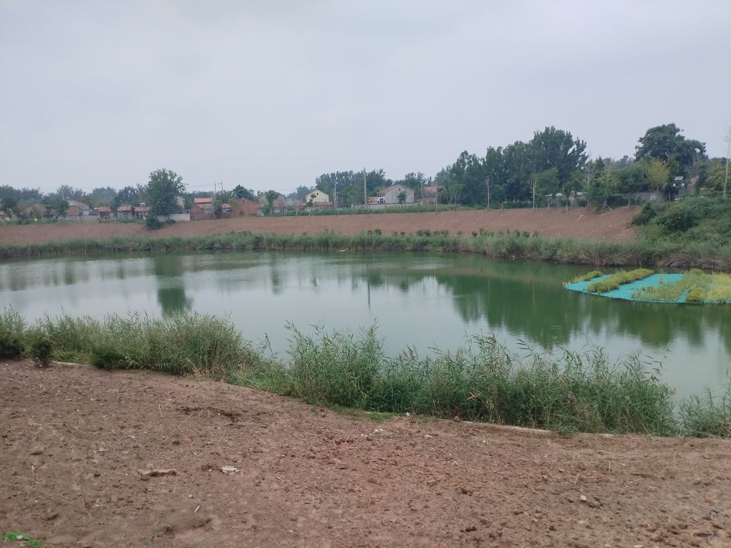 20250906195458front2_0_5867_Fhin3d3PwfbVtIx4mnOl6KrPoVsW.jpg