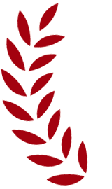 170616a6pszs3rc1ogpw1g.gif