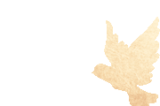 170616ld8jhdz3zdbhzggv.gif