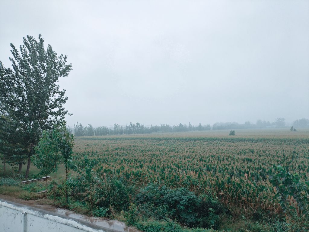 20250923090847front2_0_5867_FpU5zYpwb6j5WqujfWjqBAdfjAeB.jpg