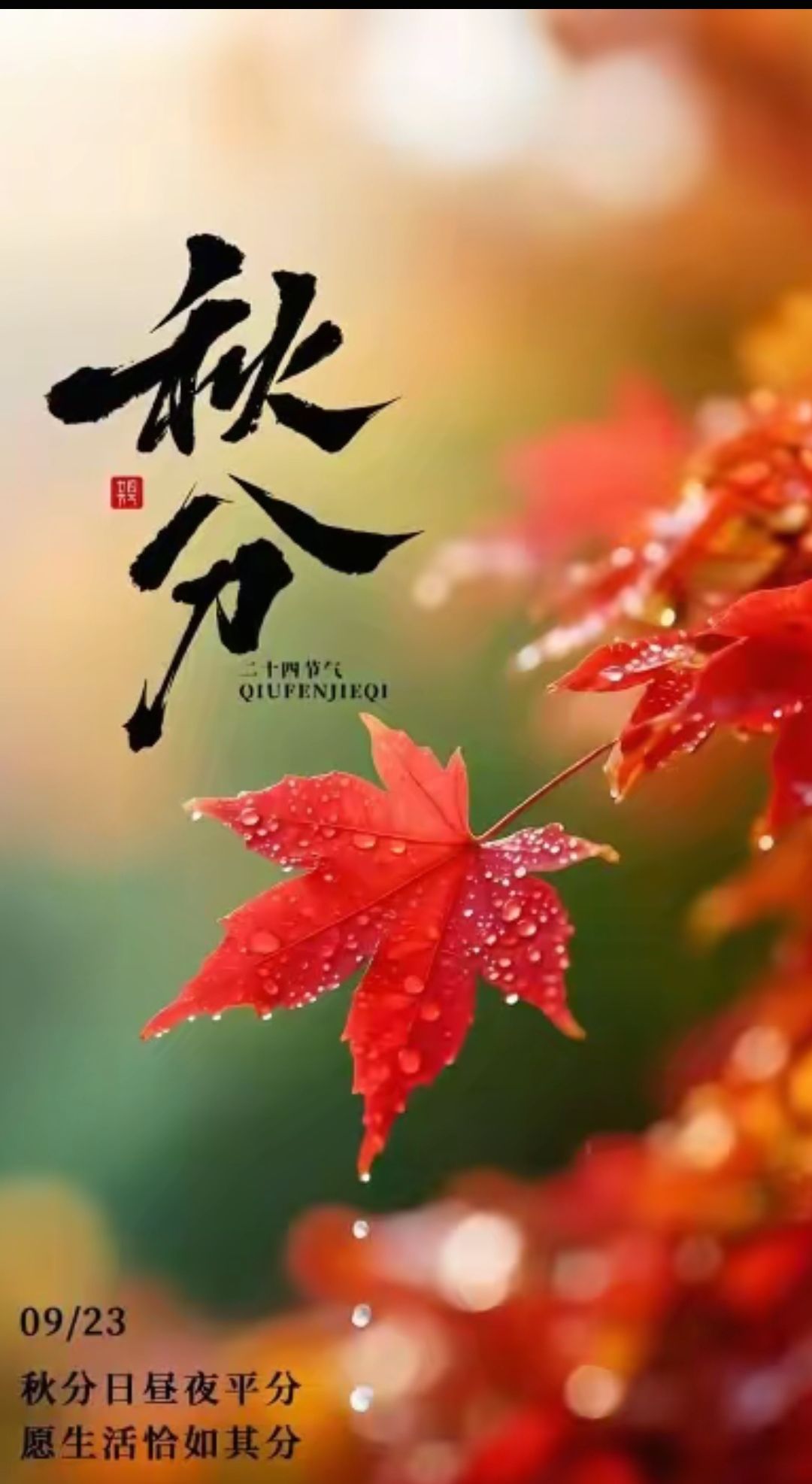 20250923090847front2_0_5867_FtBz__D91-m4C8LHNR7Iv3u0aWI8.jpg