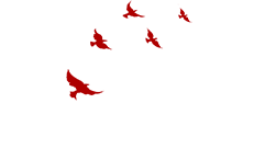 083552e6v60i1103nrft7g.png
