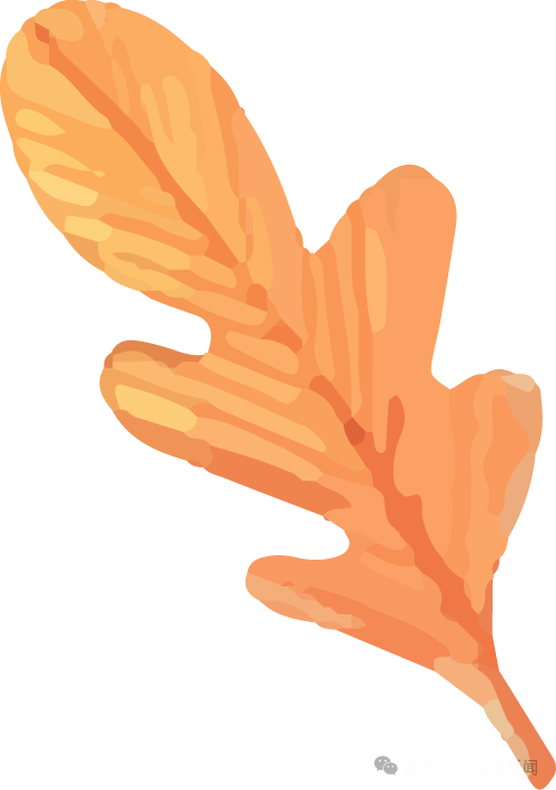 090228wkr4ckoy7gb7r7yk.png