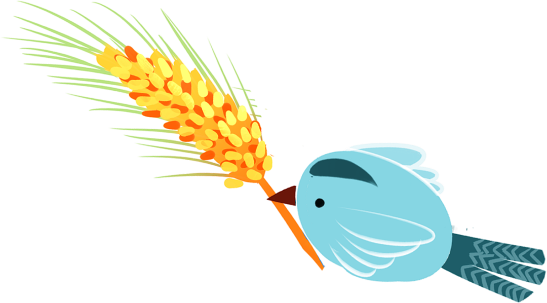 101317wczm30o8800ix500.png