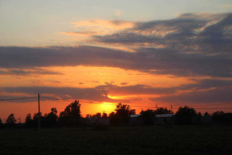 IMG_4126.jpg
