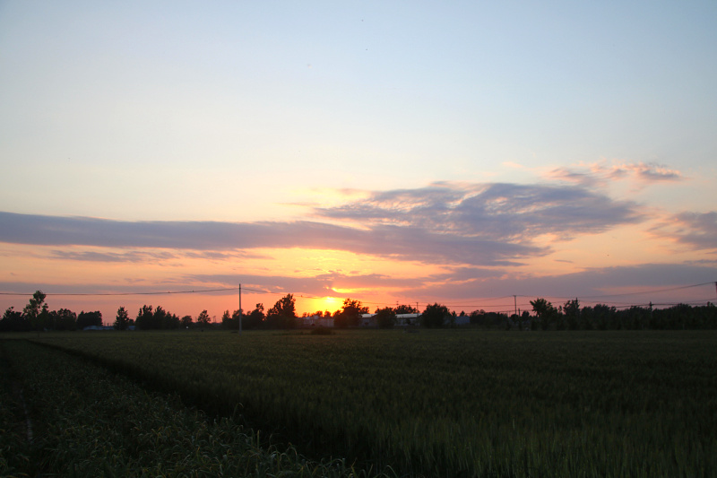 IMG_4125.jpg