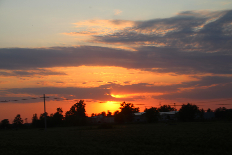 IMG_4128.jpg