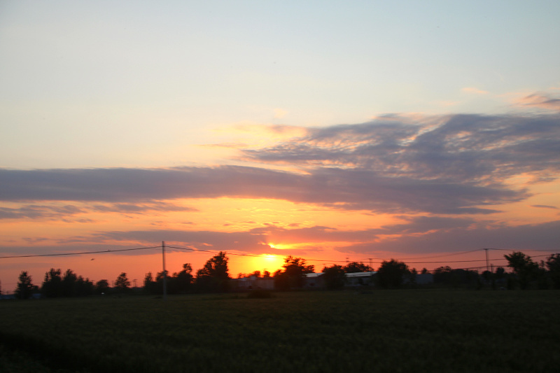 IMG_4129.jpg