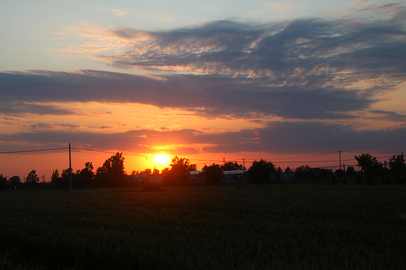 IMG_4133.jpg