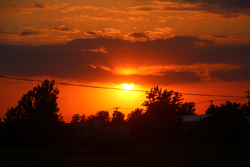 IMG_4131.jpg
