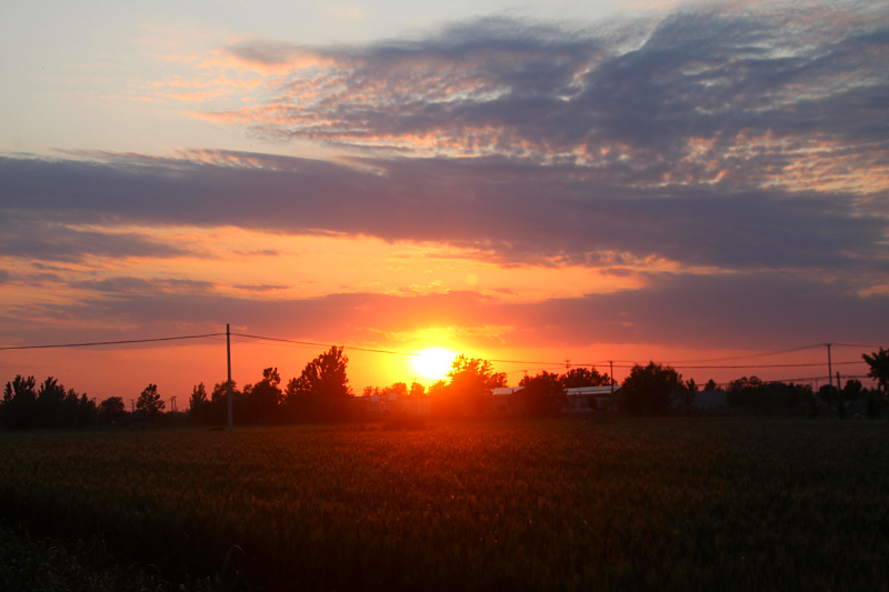 IMG_4138.jpg