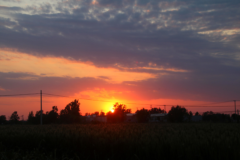 IMG_4150.jpg