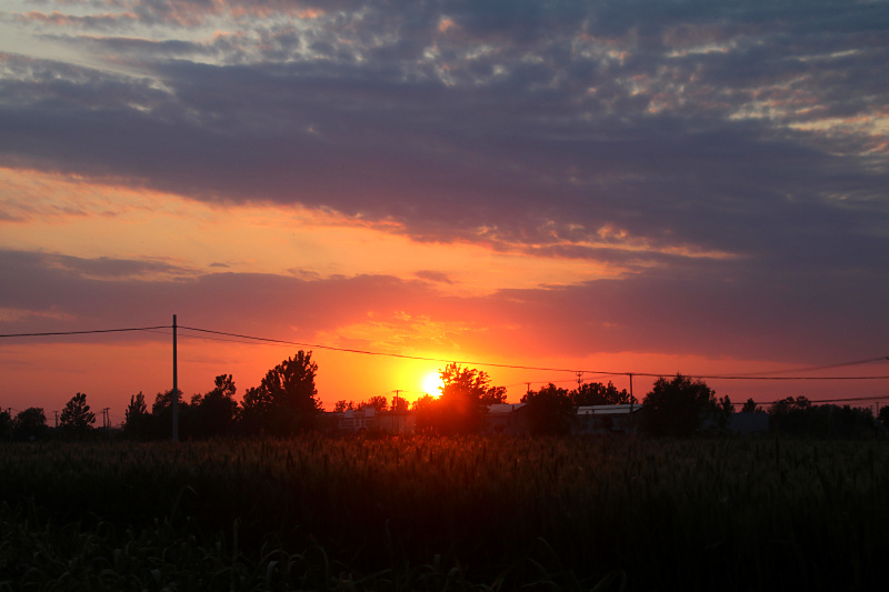 IMG_4146.jpg