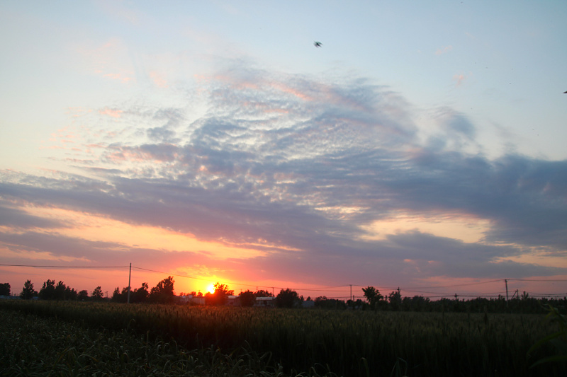 IMG_4149.jpg