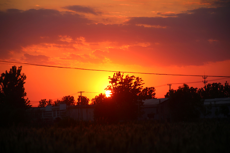 IMG_4151.jpg