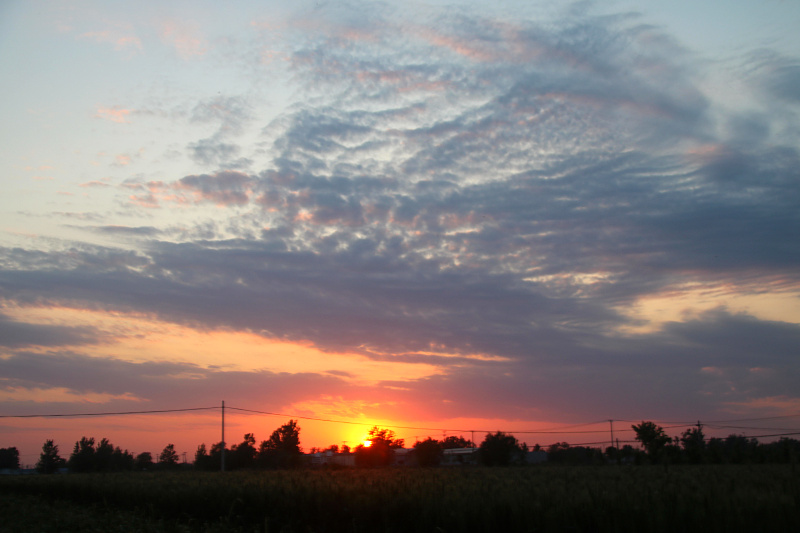 IMG_4152.jpg