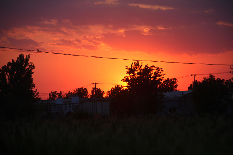IMG_4153.jpg