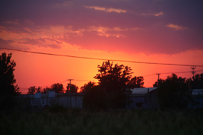 IMG_4155.jpg