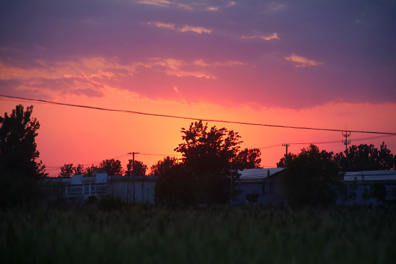 IMG_4160.jpg
