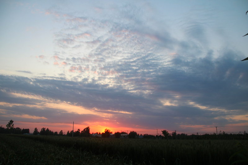 IMG_4156.jpg
