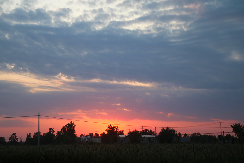 IMG_4163.jpg