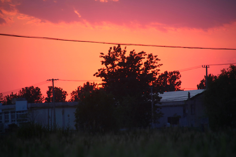 IMG_4161.jpg
