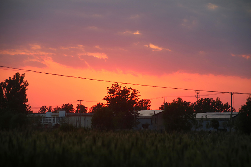 IMG_4164.jpg