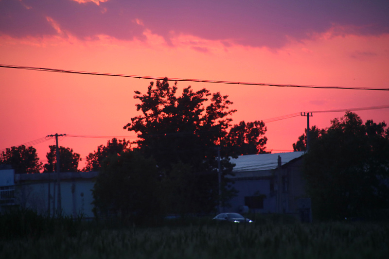 IMG_4165.jpg
