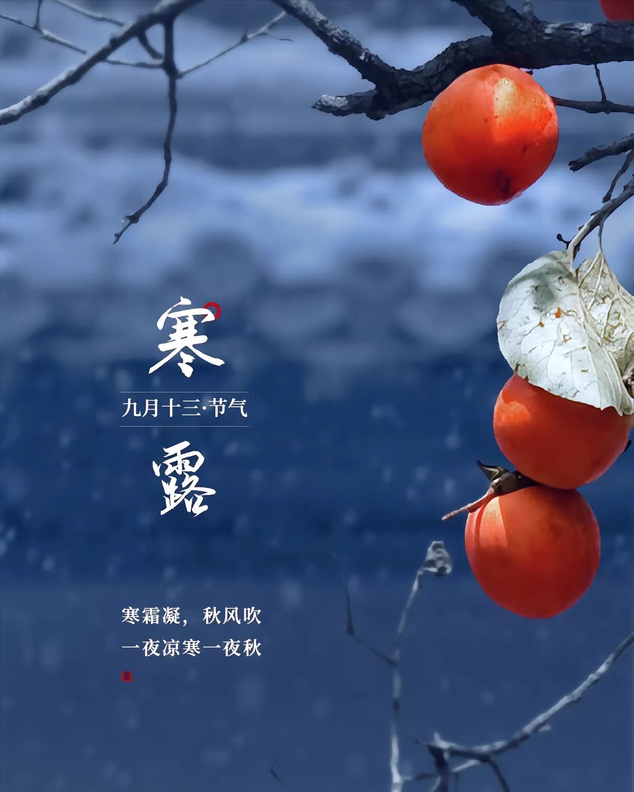 微信图片_20260504201519_82_971.jpg