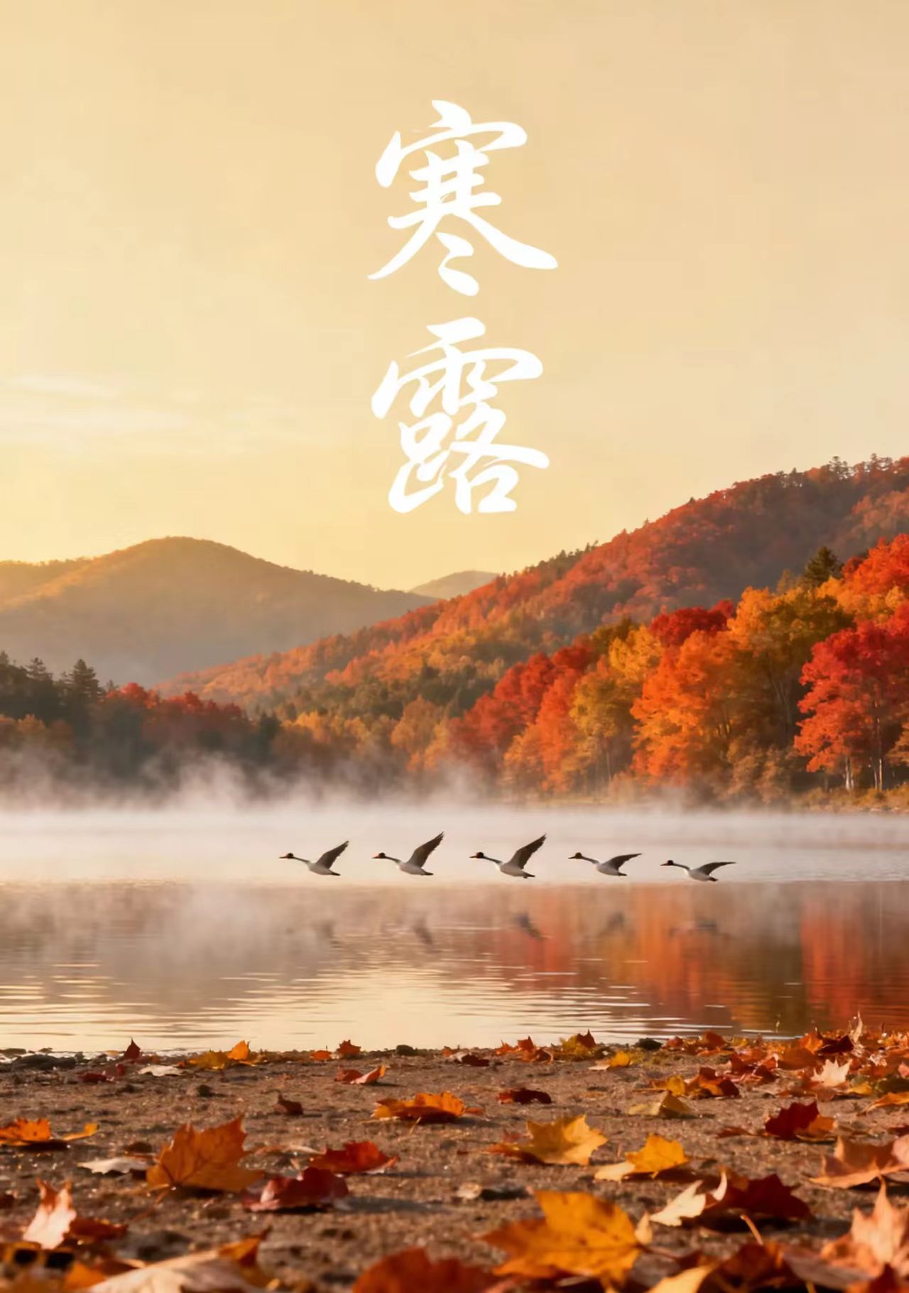 微信图片_20260504201520_83_971.jpg