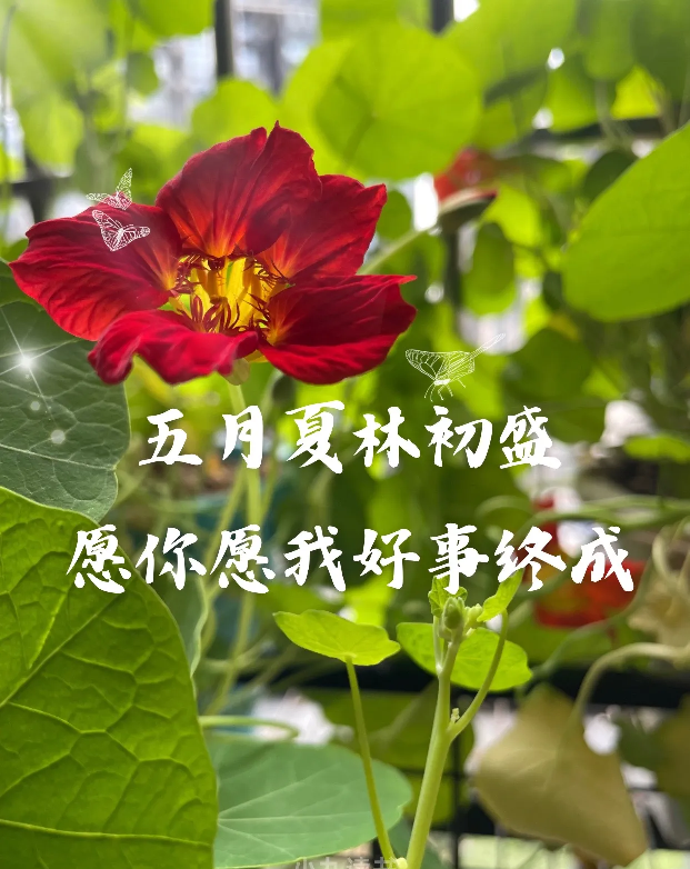 20260504215838front2_0_5867_FgmEZMqYwYlp8qZKE35CZqhEha1M.png