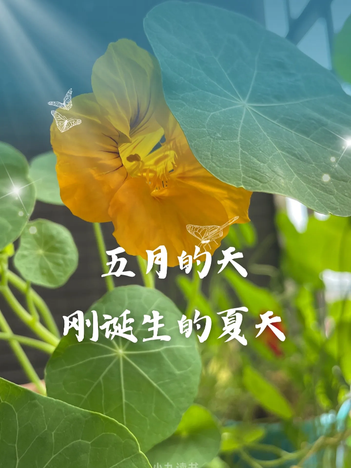 20260504215838front2_0_5867_FhqSEIptTADYs8IYOU3a0PfRbwzg.png