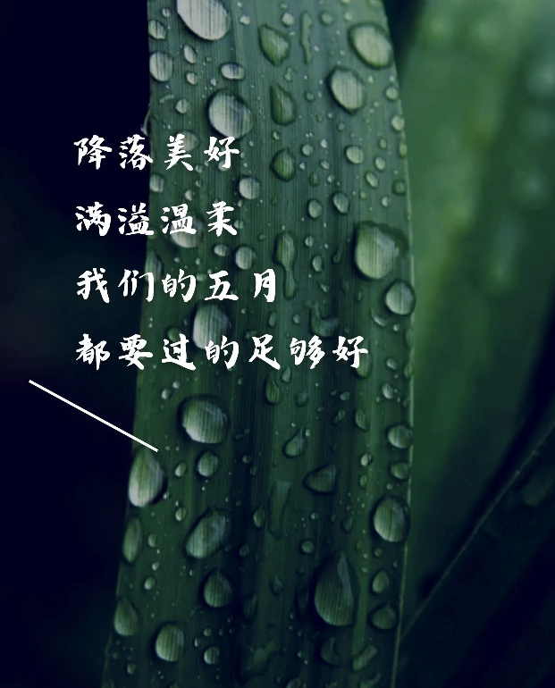 20260504215838front2_0_5867_FltMNTRoZii456_JohSXINYCHLvz.png