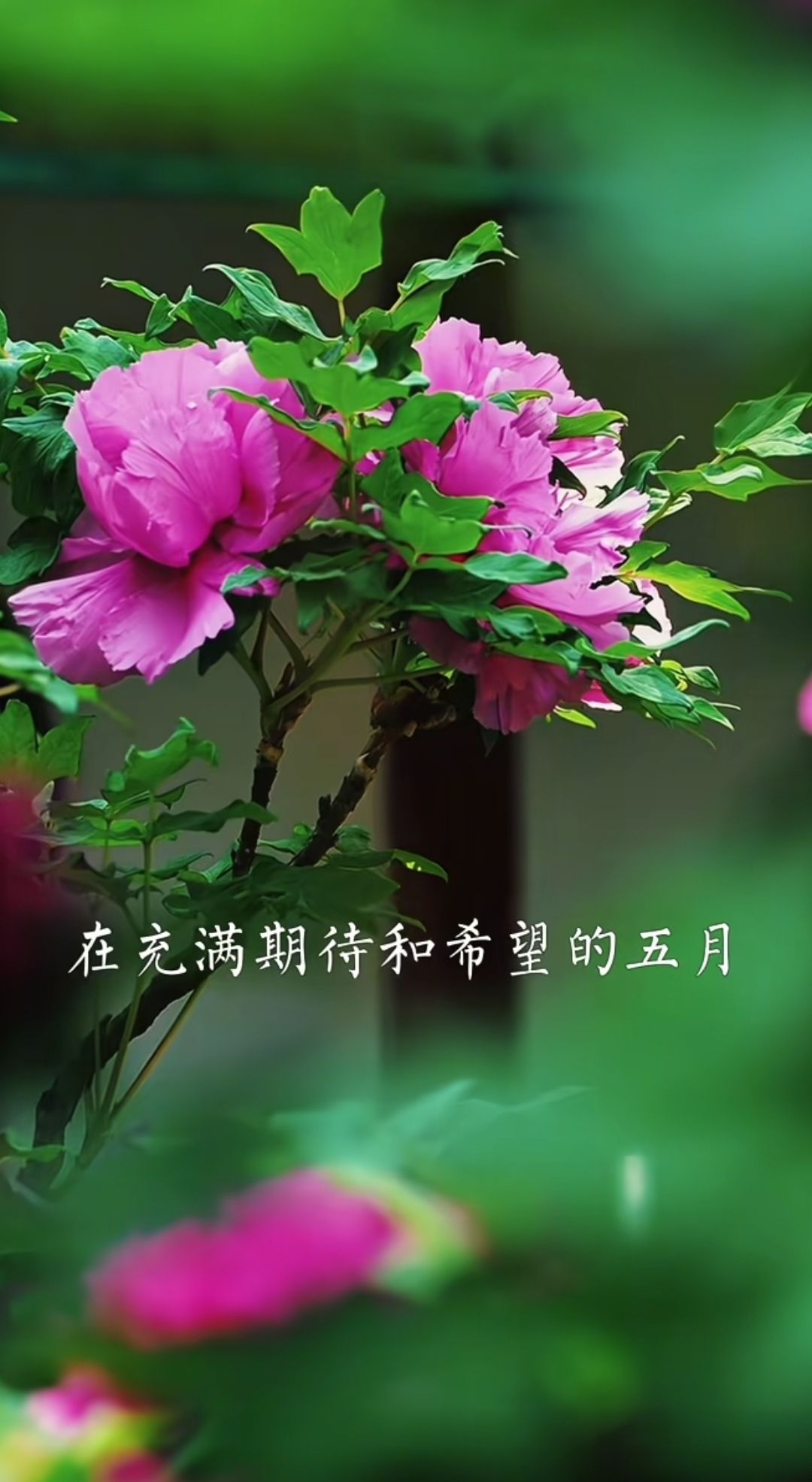 20260507095452front2_0_5867_FuMKG7kBQDDYXesg2n9PQ4VqbGqw.jpg