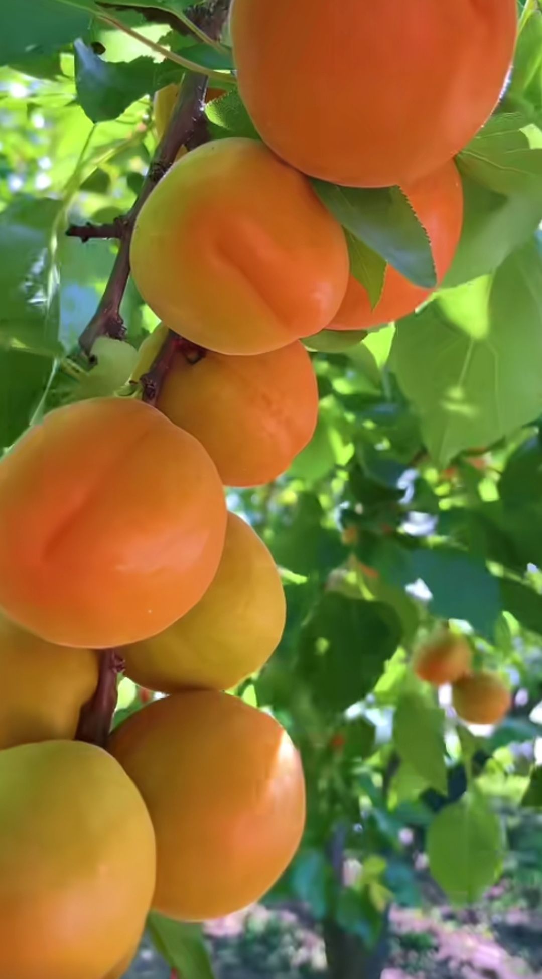 20260515204104front2_0_5867_Fmc42oQqTiiVlvLi_YiJZEJBGWN1.jpg