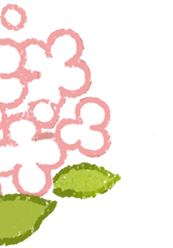 082945gu6zr2253222cb65.png