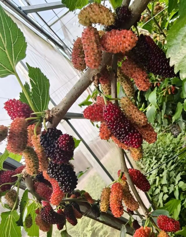 20260520170544front2_0_5867_FibxTYoYtZdU9zmFRj0tTbSSShjy.jpg