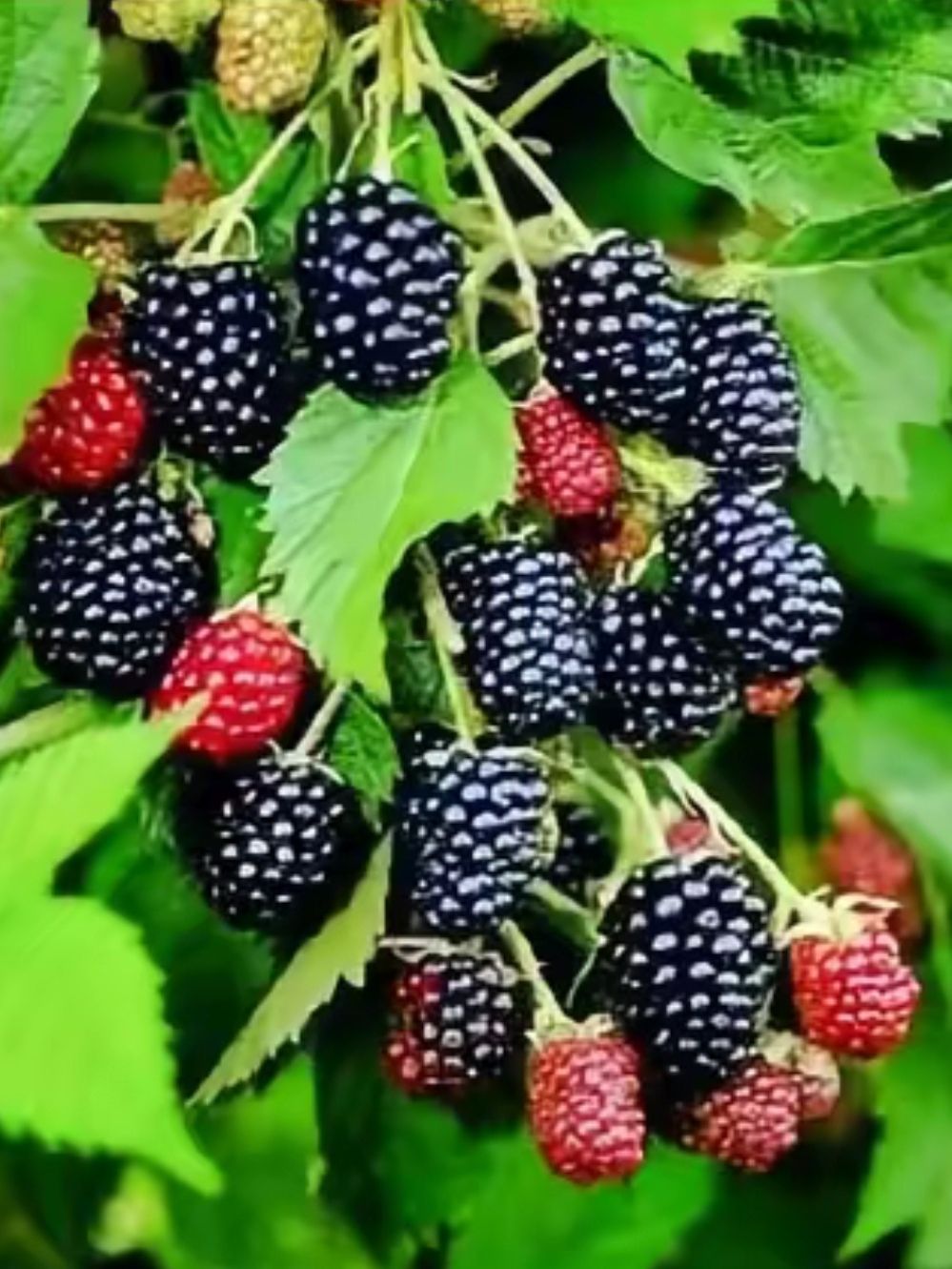 20260520170545front2_0_5867_FuTiXMT7xS_Gy18CyX_9ZyA3FeT_.jpg