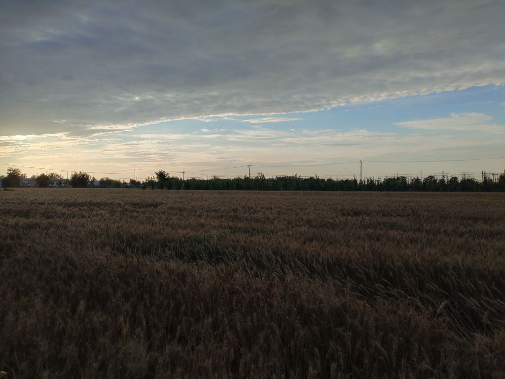 20260601172859front2_0_5867_Fs7DwUIcKNW4x6txDy6PvCKhUlG0.jpg