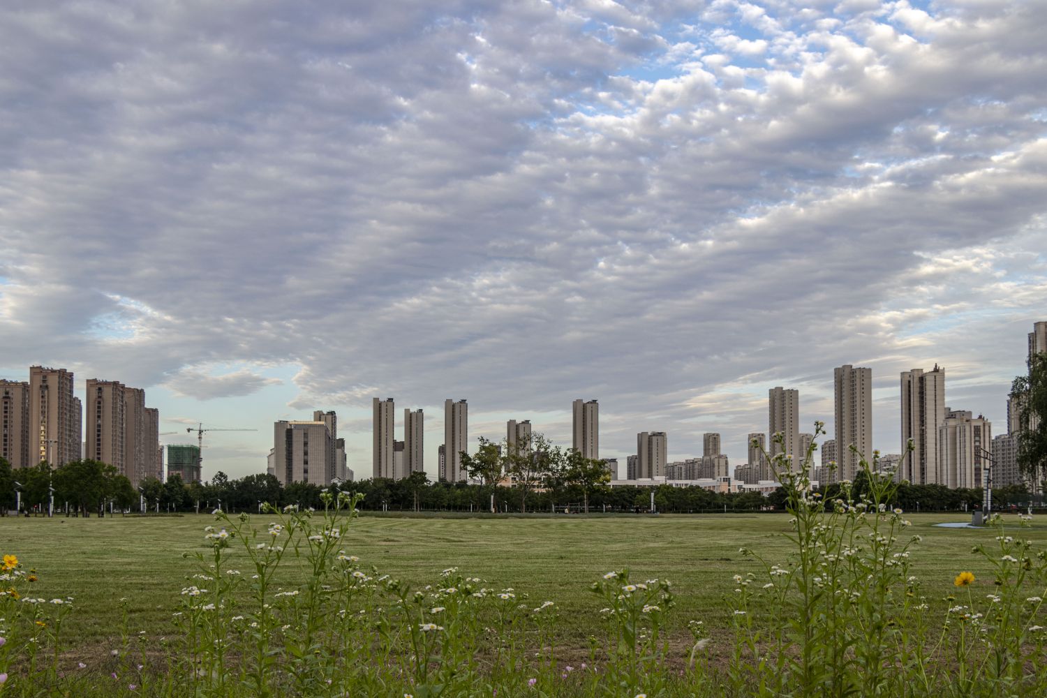 20260602104720front2_0_421778_FuH4uKW6ScsHcakd7DLWJ-dh8hD4.jpg