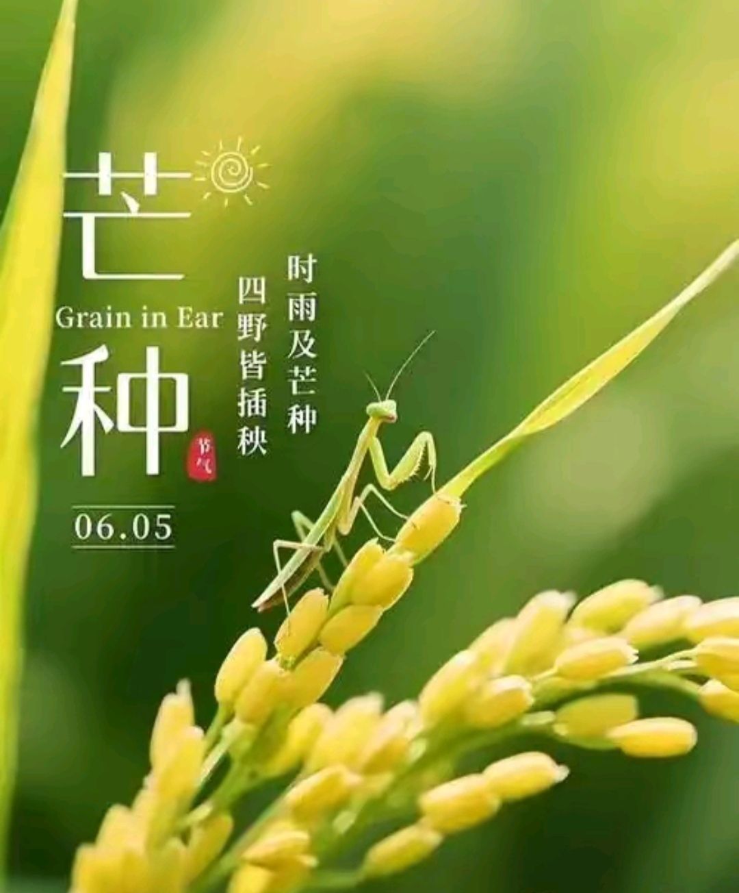 20260605131101front2_0_5867_FgyMoOMI90ydkMa9kysxD8kdw68a.jpg