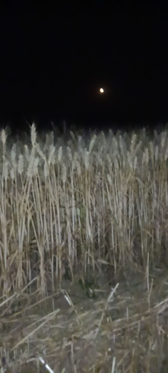20260606000052front2_0_191625_Fg_hr8xtzLFSel2oLEKKKhk9g28l.png