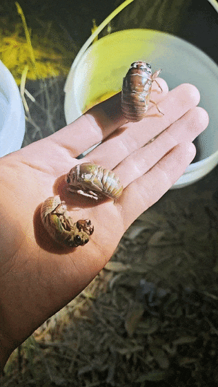133036sfj84fb4by464rrp.gif