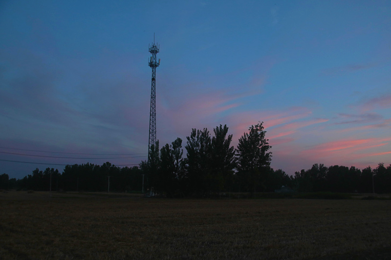 IMG_4565.jpg
