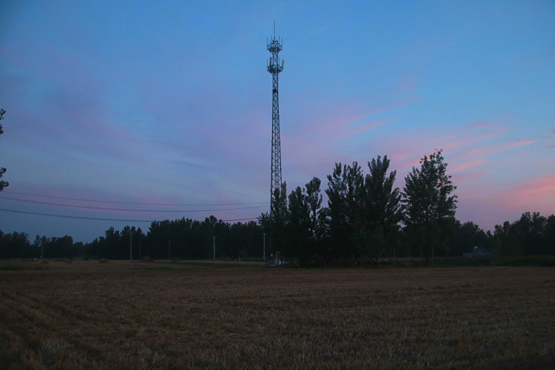 IMG_4569.jpg